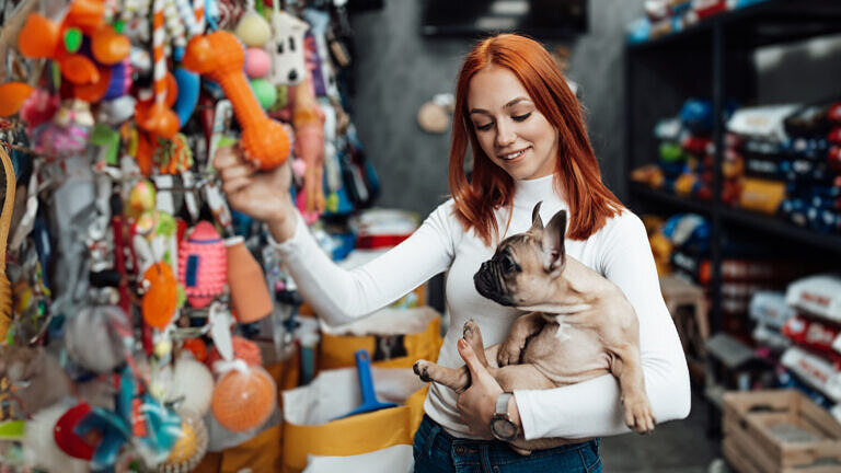 Seguro Pet Shop
